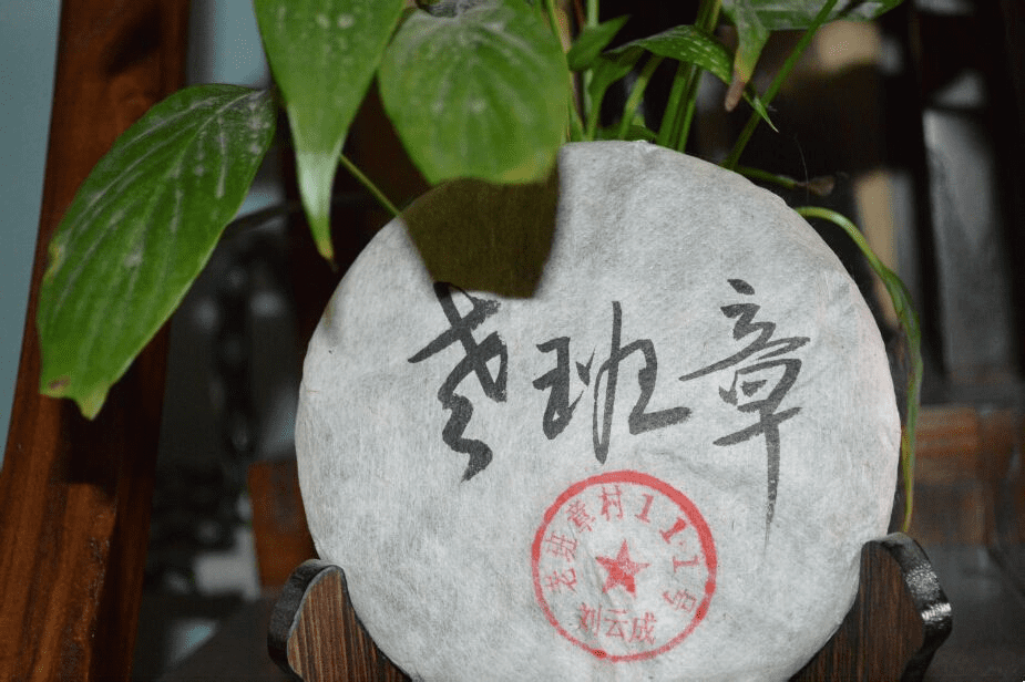 Banzhang tea: the origin of the name? Why called Banzhang