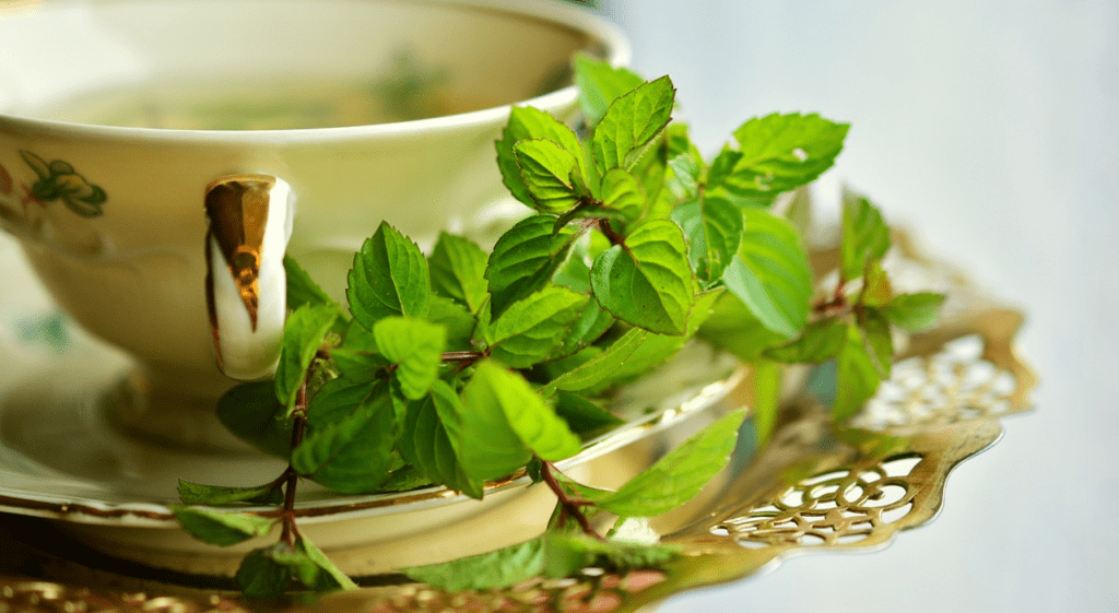 Mint in Green Tea, Refreshingly Healthy and Natural